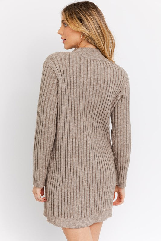 Gilli Turtle Neck Sweater Dress