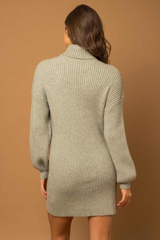 Gilli Turtle Neck Balloon Sleeve Sweater Dress