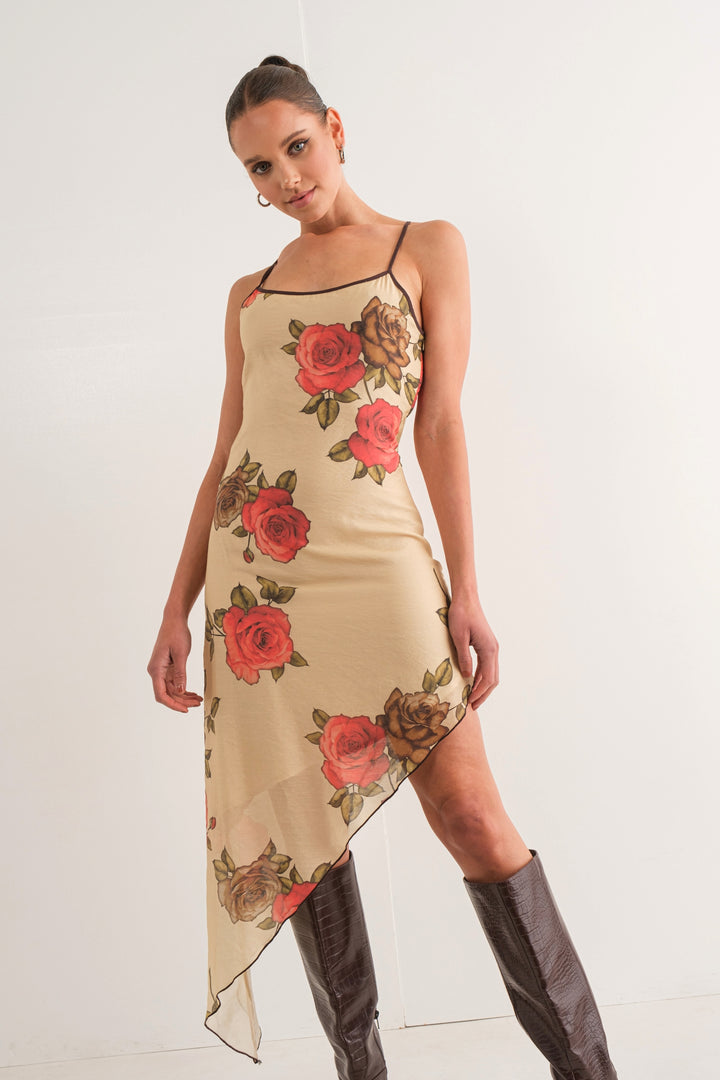 Pretty Garbage Asymmetrical Rose Print Dress