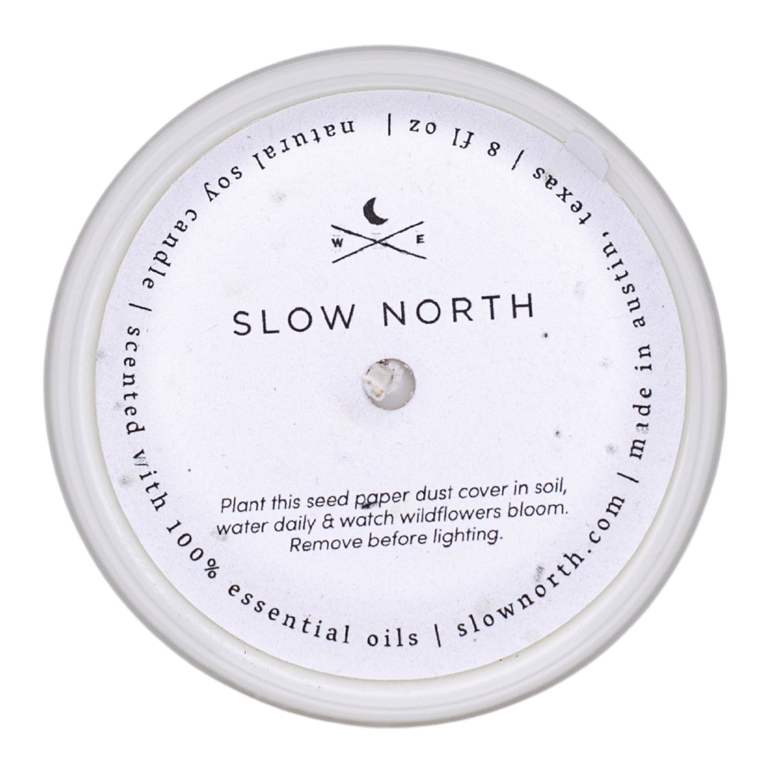 Slow North Forest Bathing - Fir + Pine + Patchouli